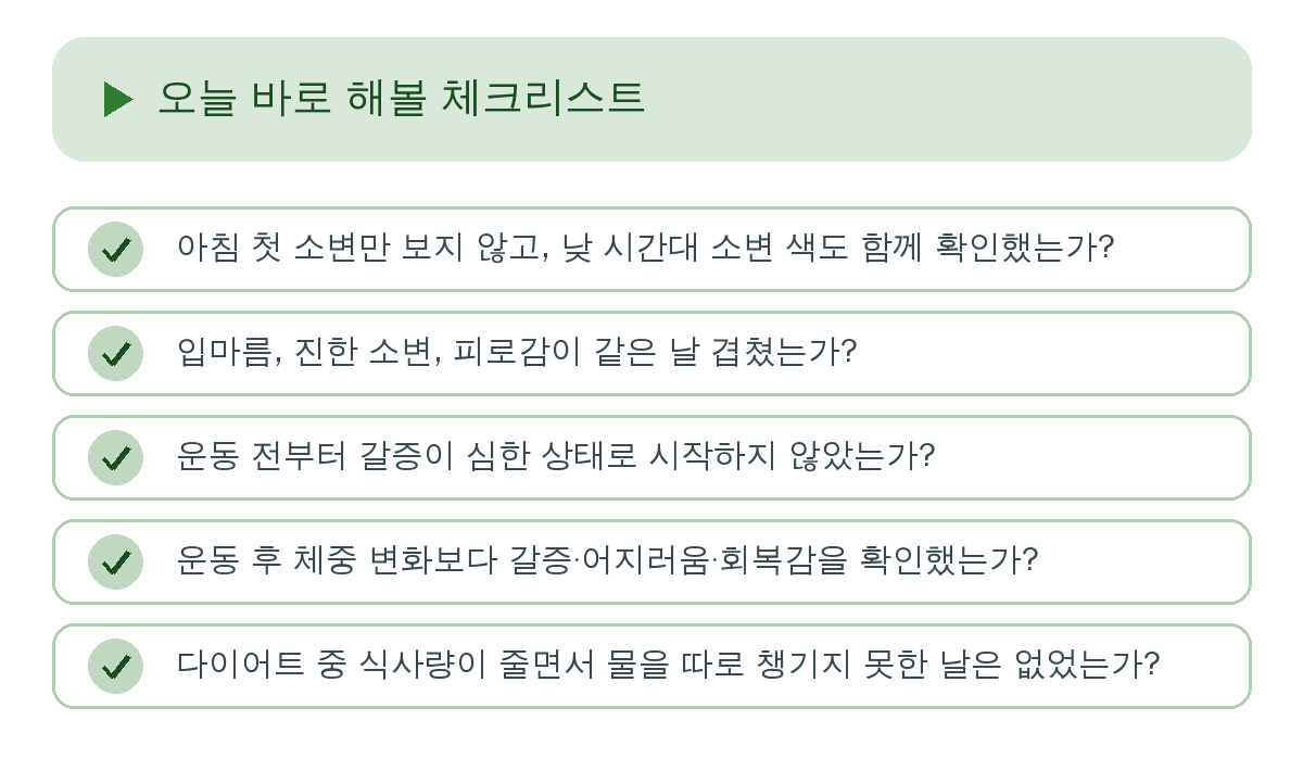 오늘 바로 해볼 체크리스트 요약 인포그래픽