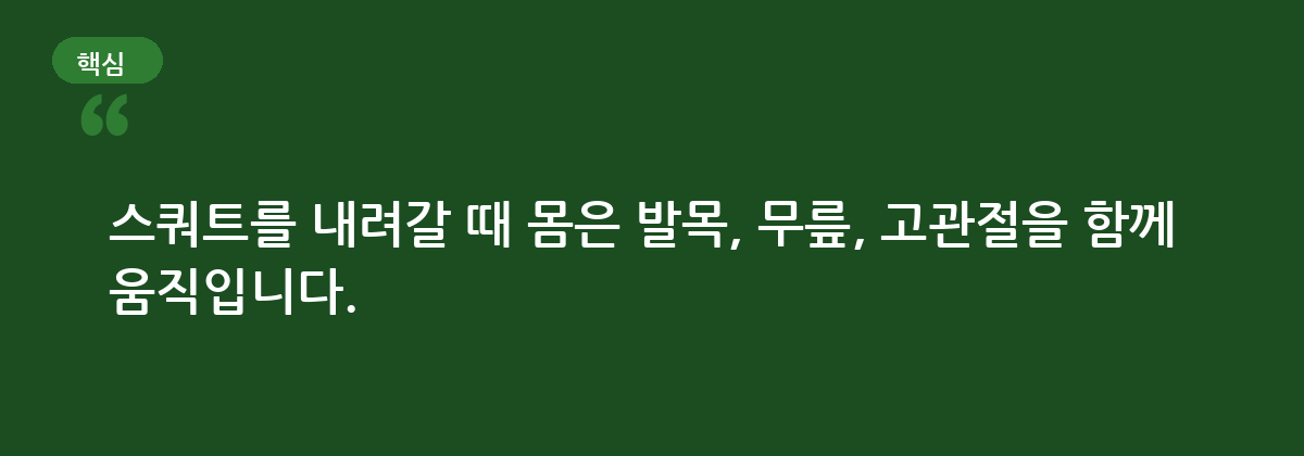 스쿼트가 어려운 이유는 근력만의 문제가 아니다 요약 인포그래픽