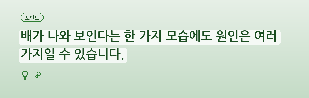 복부 운동만으로 해결하려 할 때 생기는 혼란 요약 인포그래픽