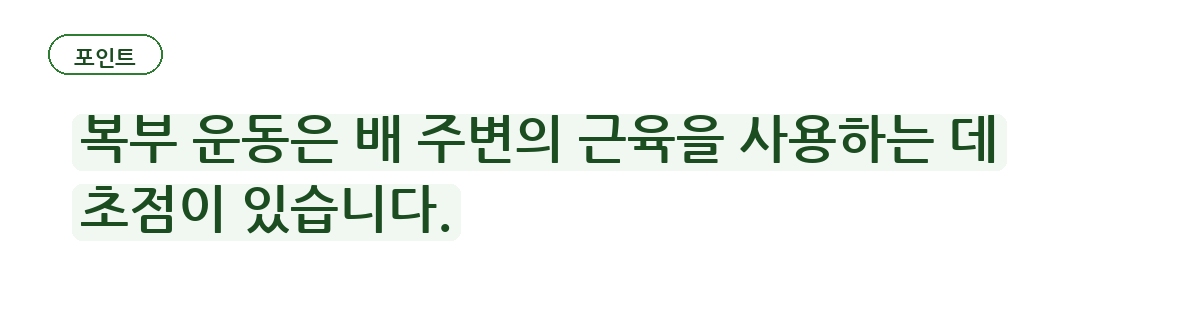복근 운동만으로 부족할 수 있는 이유 요약 인포그래픽