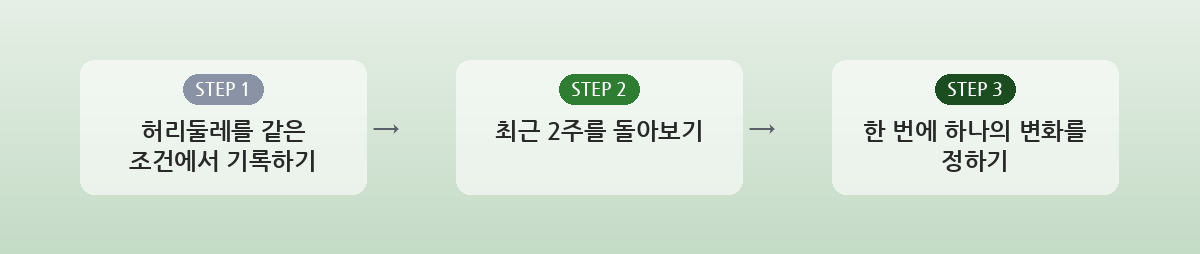 내장지방빼는법을 찾기 전에 확인할 세 가지 요약 인포그래픽